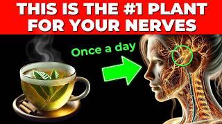 The #1 Plant to Repair Nerves Instantly (How to use it) | Neuropathy