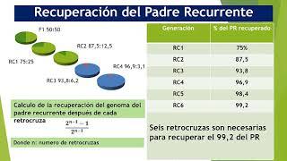 Mejoramiento Para Resistencia a Enfermedades. Métodos de Selección