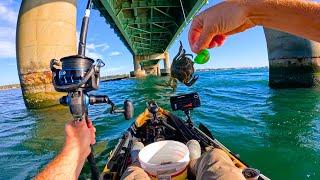 Bridge Fishing With Crabs & Jigs For Whatever Bites!