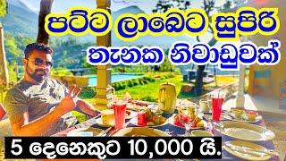 පට්ට ලාබෙට සුපිරි තැනක නිවාඩුවක් | budget hotels sri lanka | belihuloya hideout villa