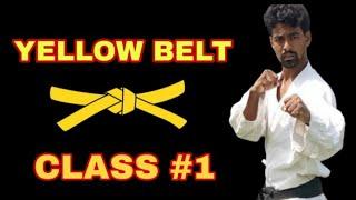 Karate Follow Along Class - Yellow Belt - Class 1