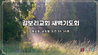 갈보리교회(자양동) 2024.12.13(금)