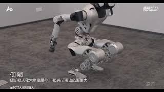 New Video Of Humanoid Robot From LimX Dynamics