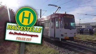 Haltestelle - Straßenbahnmagazin | Ausgabe 257