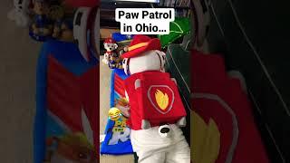 Paw Patrol In Ohio  #shorts #pawpatrol #ohio