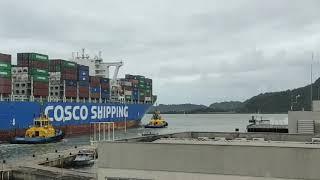 Cosco Shipping Thames de saída da Portonave