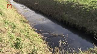 Het water in de sloten bij Stampersgat zit vol zwarte smurrie