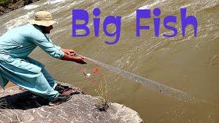 Big fishing video BIG Rohufish, Hook fishing, fishing bite, river fishing, fishing Videos, float Fis