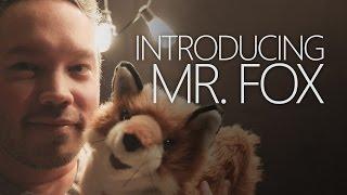 Introducing Mr. Fox ~ ASMR/Binaural/Fur Sounds