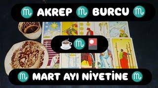 AKREP  BURCU MART AYI NİYETİNE KAHVE VE TAROT AÇILIMI @hedefsizsiniz