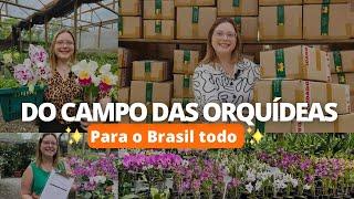 COMO NOSSAS ORQUÍDEAS CHEGAM ATÉ VOCÉ !