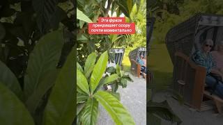 Эта фраза прекращает ссору. #shorts