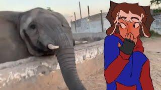 SHOCKINGLY STUPID FAILS