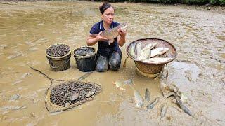 180 Days: Harvesting Fish, Ginseng Root, Scallion Garden, Ginger & Vegetables goes to market sell.