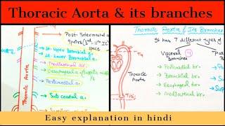 Thoracic Aorta - Branches- Anatomy - Easily explained - Hindi