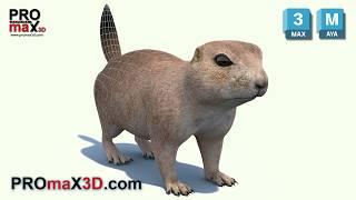 Prairie Dog 3D Model for Download | @PROmax3D