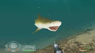 Shark Games Week - 100%ing Shark! Hunting the Great White