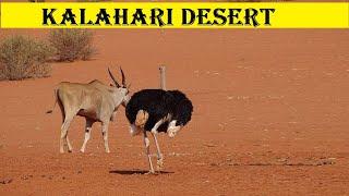 Kalahari Desert | earth Heaven
