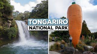 Exploring The Beautiful Tongariro National Park, New Zealand