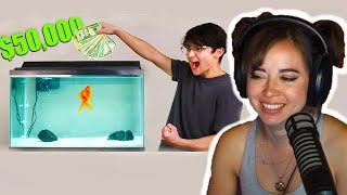 Maya reacts to I Gave My Goldfish $50,000 to Trade Stocks - Michael Reeves