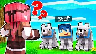 QUALE CANE È IL VERO STEF? - MINECRAFT *NASCONDINO*