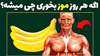 اگر هر روز موز بخورید چه می شود؟| خواص موز | فواید شگفت انگیز موز