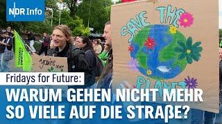 Fridays For Future: Weniger Menschen auf den Demos | NDR Info