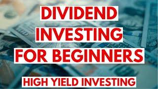 Dividend Investing for Beginners: Your First $1,000 in High Yield Stocks