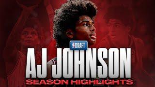 AJ Johnson Season Highlights | Offense & Defense | 2024 NBA Draft