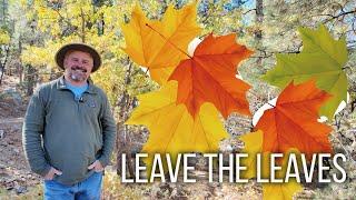 Leave the Leaves - 5 Minute Friday