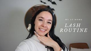 My Lash Extension Routine | WinkClique Falsies