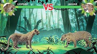 Leopard Vs Jaguar