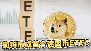 BitMEX创办人:狗狗币成首个迷因币ETF！2024年坚决买入狗狗币！维持不卖和不动摇策略｜Cryptonews