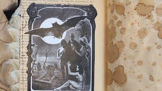 A Gothic Vampire Junk Journal  video flip through