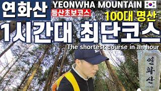 연화산 100대 명산 | 등산초보를 위한 1시간대 최단코스 추천 깔딱고개 | Hiking Yeonwha Mountain in Korea, 느재고개, 운암고개, 편백나무, 등산