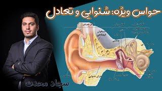 نکته و تست حواس ویژه: گیرنده شنوایی و تعادل/بررسی تست های زیست کنکور 1401  / @biologymedia