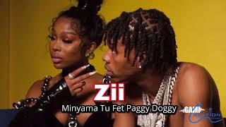 Minyama Tu Fet Paggy Doggy Zii (Official Audio) Produced By Gami Dee