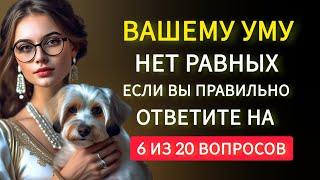 Вашему Уму нет Равных, если Вы Правильно Ответите на 6 из 20 вопросов. Тест на Эрудицию.