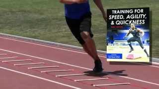 Training for Speed, Agility, and Quickness