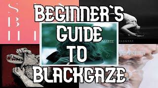 Beginner's Guide to Blackgaze