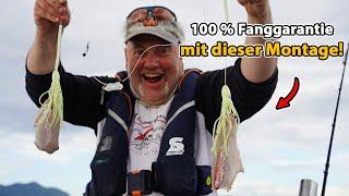 Hiermit fängst du JEDEN Fisch in Norwegen!