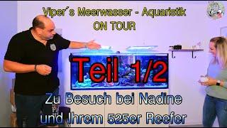 Viper´s Meerwasser Aquaristik ON TOUR  zu Gast bei Nadine Teil 1