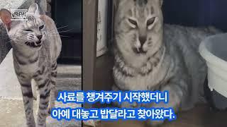 다주택자 양순이의 하루일과!