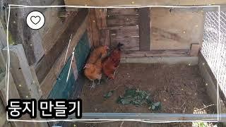 성악가의 텃밭놀이터-둥지만들기