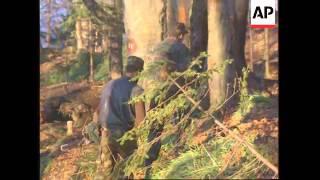 BOSNIA: BOSNIAN GOVERNMENT TROOPS CONTINUE ADVANCE ON TESLIC