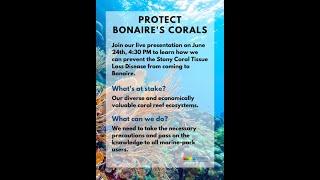 Protect Bonaire's Corals