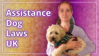 Assistance/Service Dog Laws UK Explained (+ Coco Update)