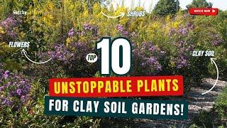 Top 10 UNSTOPPABLE Plants for CLAY SOIL Gardens!  // Gardening Ideas