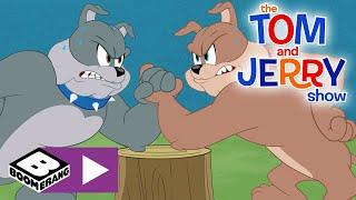 The Tom and Jerry Show | Big Brother  | Boomerang UK 