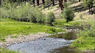 LIVE - My New Creekside Campsite For The Next Few Days - It’s Beer-Thirty! 